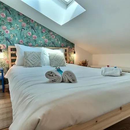 Apartment Le Nid Des Roses - Hyper Centre Albi