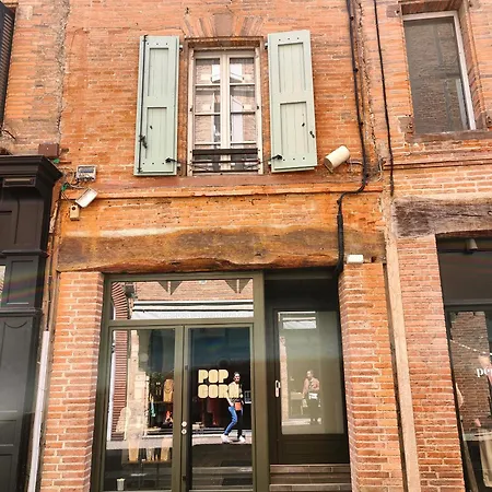 Apartment Le Nid Des Roses - Hyper Centre Albi